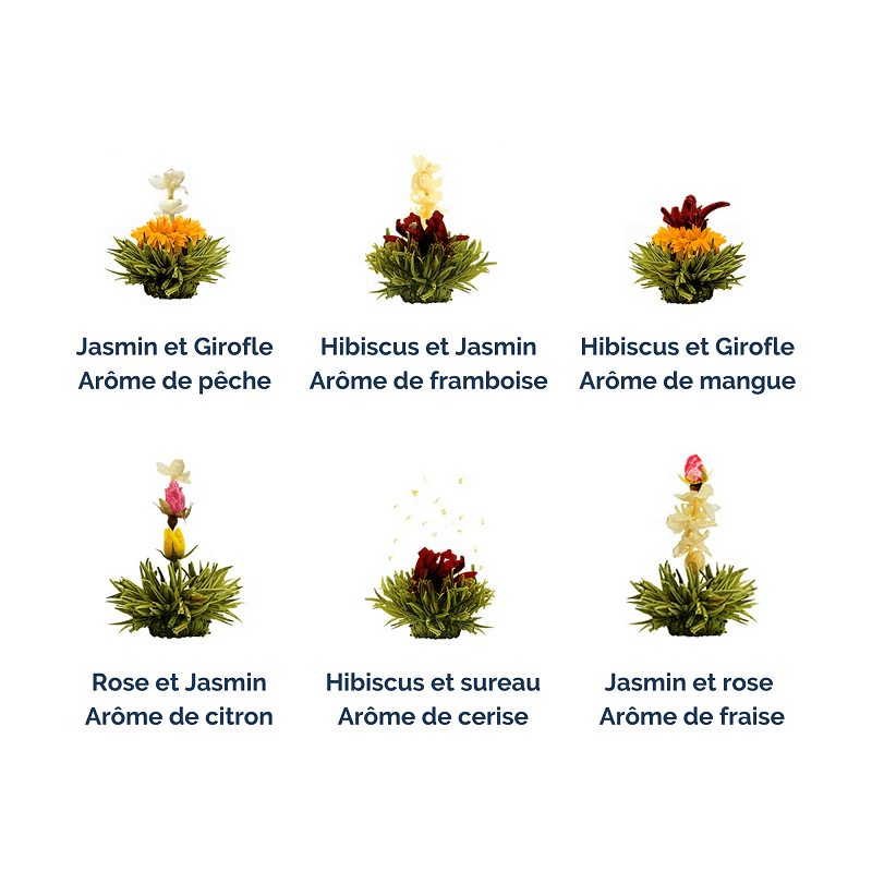 6 fleurs de the vert aux fruits