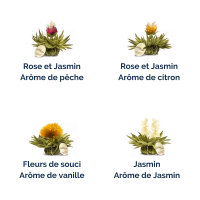 Boite de 8 fleurs de the blanc aromes