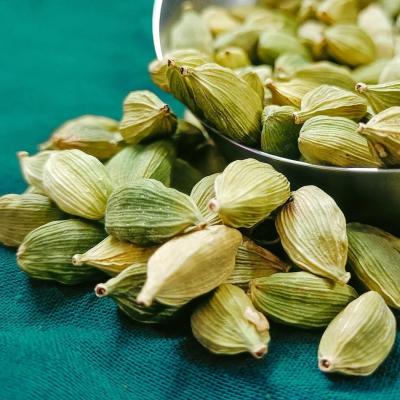 Cardamome