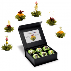 Coffret magnetique 6 fleurs de the vert