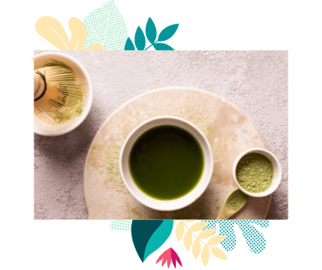 Le thé Matcha, roi de la cérémonie du thé japonaise