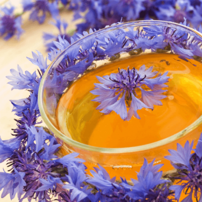 Rooibos avec des fleurs de bleuet