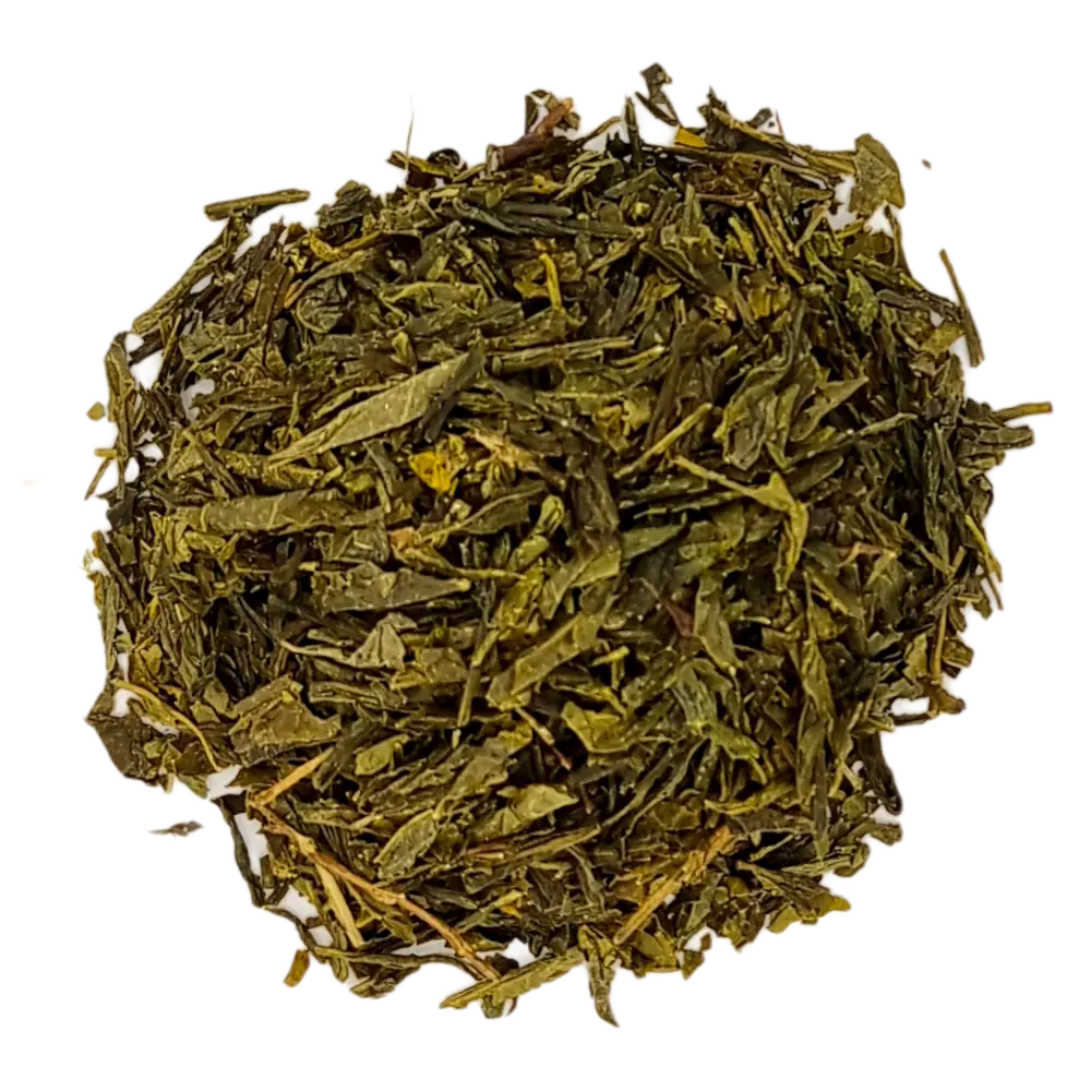 The vert sencha